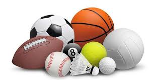 bsports官网 室内健身砖